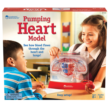 LEARNING RESOURCES Pumping Heart Model 3535